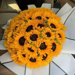 Round bouquet of bright yellow sunflowers wrapped in white paper