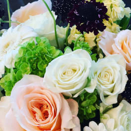 Close-up bouquet of white, peach, and dark purple flowers