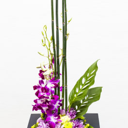 Tall modern arrangement with purple dendrobium orchids and mixed mums around bamboo in a black square base.