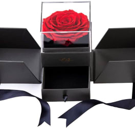 Red rose in a clear display box with black gift boxes and ribbon