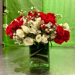 Red and white roses arranged in a square glass vase