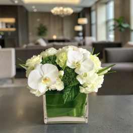 White orchids and pale blooms arranged in a square glass vase