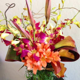 Bright tropical flower arrangement with orchids and calla lilies in a vase