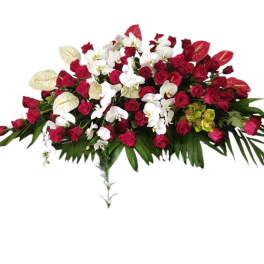 Red And White Casket