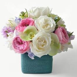 Compact arrangement of white and pink roses with green orchids in a teal square vase