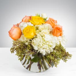Low round arrangement of yellow and peach roses with white hydrangeas in a clear glass bowl vase