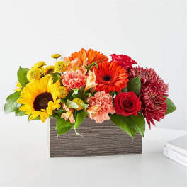 Mixed bouquet in a rectangular wooden box with sunflowers and red blooms
