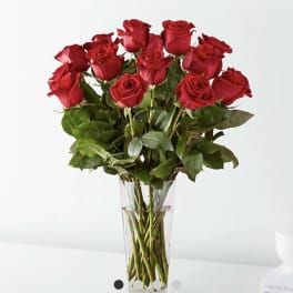 Red roses arranged in a clear glass vase