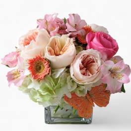 Low arrangement of blush and pink roses, hydrangeas, and alstroemeria in a glass cube with an orange butterfly