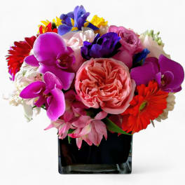 Colorful mixed bouquet of pink roses, purple orchids, and bright blooms in a black glass cube vase