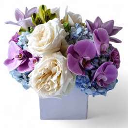 Violet Cutie Beauty Bouquet