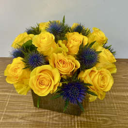 Yellow roses with blue thistle in a low square vase
