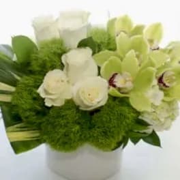 Compact arrangement of white roses, green dianthus, and green orchids in a white vase
