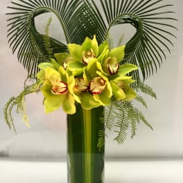 Green orchid arrangement in a tall glass vase with palm fronds