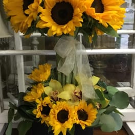 Sunflower arrangement with yellow orchids in a black box