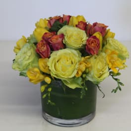 Citrus Bouquet
