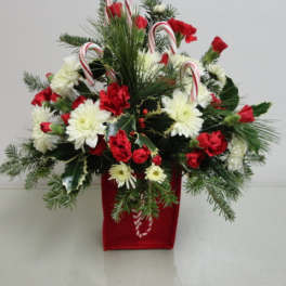 Christmas arrangement of red and white flowers in a red container