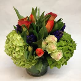 Compact arrangement of green hydrangeas, orange tulips, cream roses and purple blooms in a round glass vase