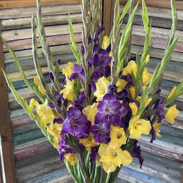 Tall bouquet of purple and yellow gladiolus in a clear glass vase