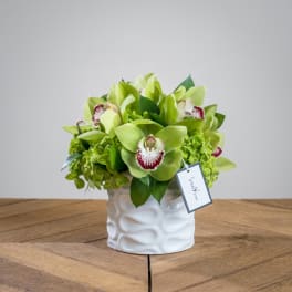 Green orchid arrangement in a white ceramic vase