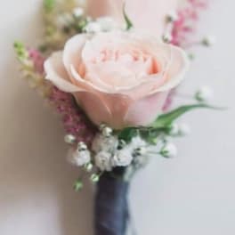 Blush rose boutonniere with small white and pink accent flowers