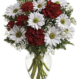 Red carnations and white daisies in a clear glass vase