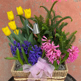 Breath of Spring Basket