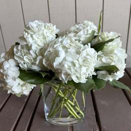 Classic White Hydrangeas