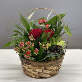 Basket arrangement with red roses and pink kalanchoe flowers