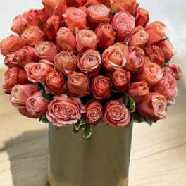 Coral Garden Roses