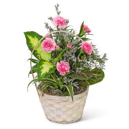 Pink carnations in a woven basket with mixed foliage