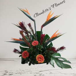 Tropical arrangement with orange bird-of-paradise and orange gerbera daisies