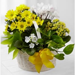 A Bit of Sunshine™ Basket by FTD®