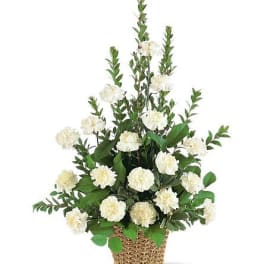 TF186-3 White Simplicity Basket