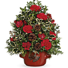 Red carnations in a red pot with pinecones and variegated greenery