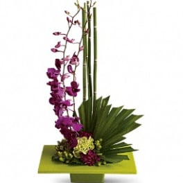 Tall orchid arrangement in a green square vase with fan-shaped leaves