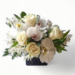 Low arrangement of ivory roses and white orchids in a black cube vase