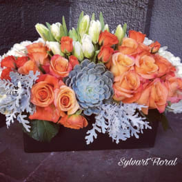 Orange and white roses arranged with a blue succulent in a rectangular box