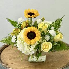 Yellow sunflowers and pale roses in a clear square vase