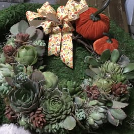 Succulent wreath with two orange pumpkins and a patterned bow