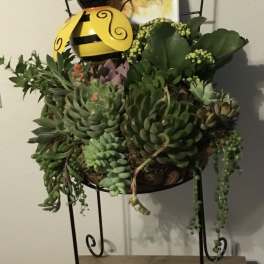Succulent arrangement in a metal stand with a bee decoration and card