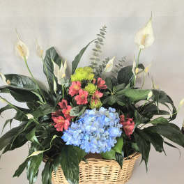 Basket arrangement with blue hydrangeas, pink alstroemeria, and white peace lilies