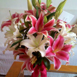 Bouquet of pink and white lilies with a pink ribbon