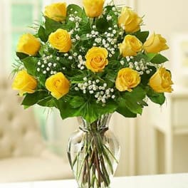 Yellow roses arranged in a clear glass vase with small white filler flowers