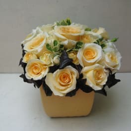 Cream roses arranged in a tan square box
