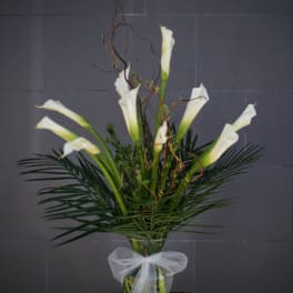 Tall arrangement of white calla lilies in a glass vase with a white bow