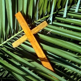 Wooden cross resting on green palm fronds