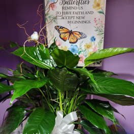 Potted green plant with a white ribbon and butterfly sign