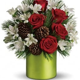 Teleflora's Christmas Cheer Bouquet