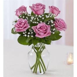 6 Lavender Roses Vased